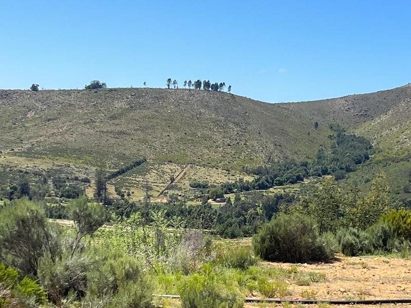 0 Bedroom Property for Sale in George Rural Western Cape